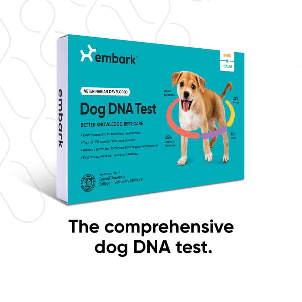 Embark Dog DNA Test Kit