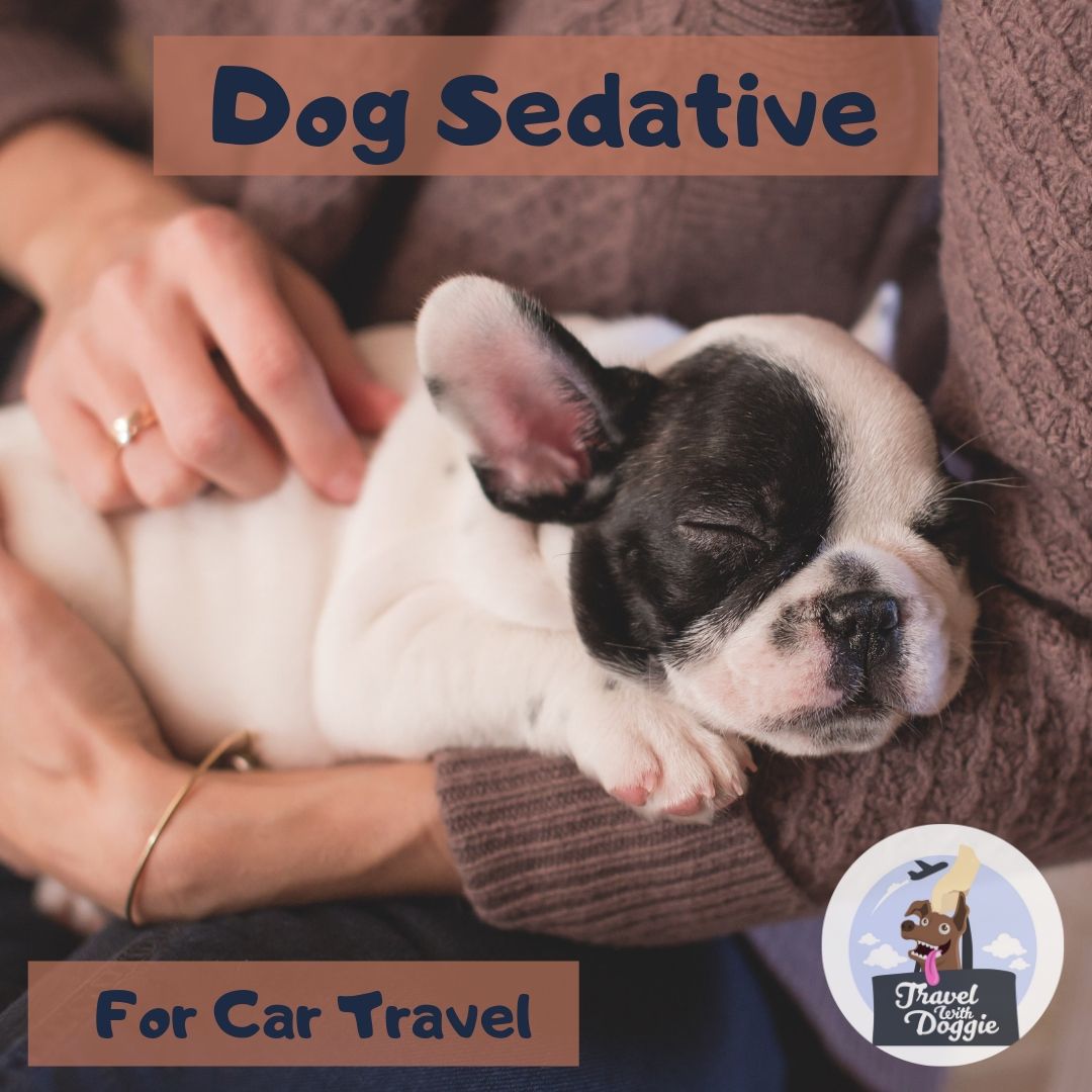 Dog Sedative For Car Travel | Travel With Doggie