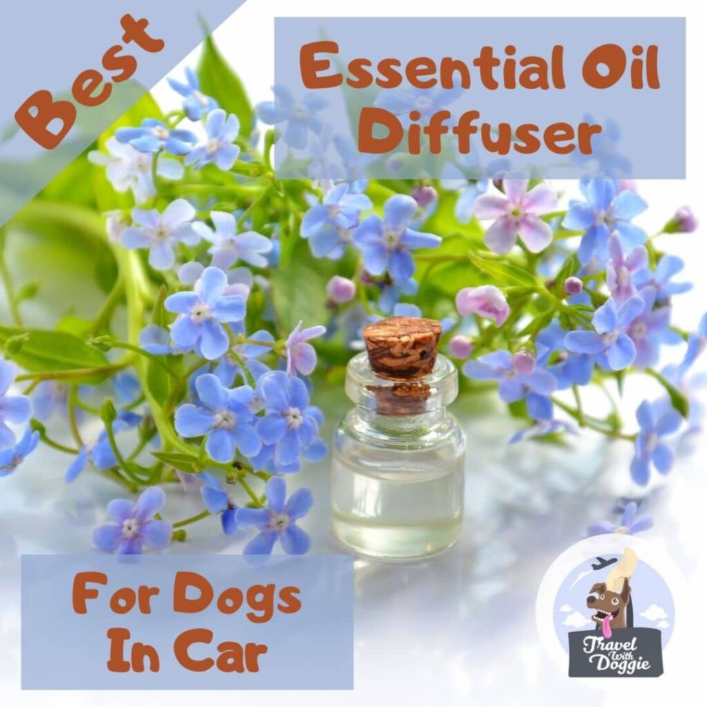 Best Essential Oil Diffuser For Dogs In Car Travel With Doggie