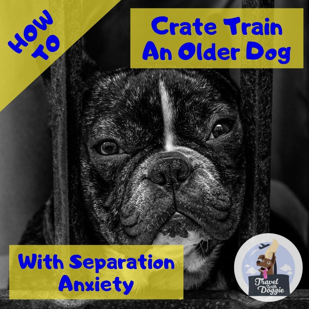 How To Crate Train An Older Dog With 