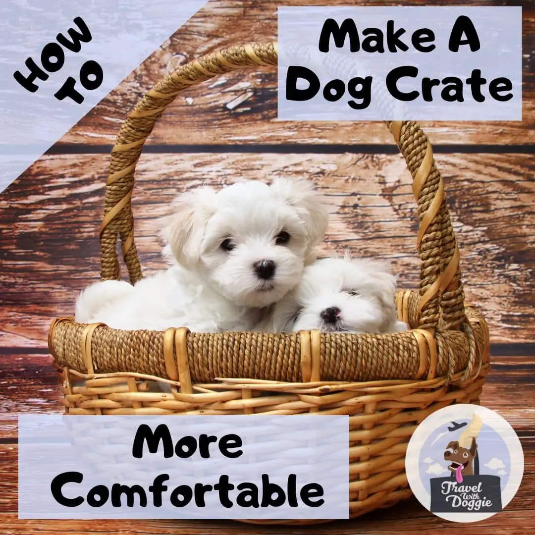 How To Make A Dog Crate More Comfortable For Road Trips | Travel With Doggie