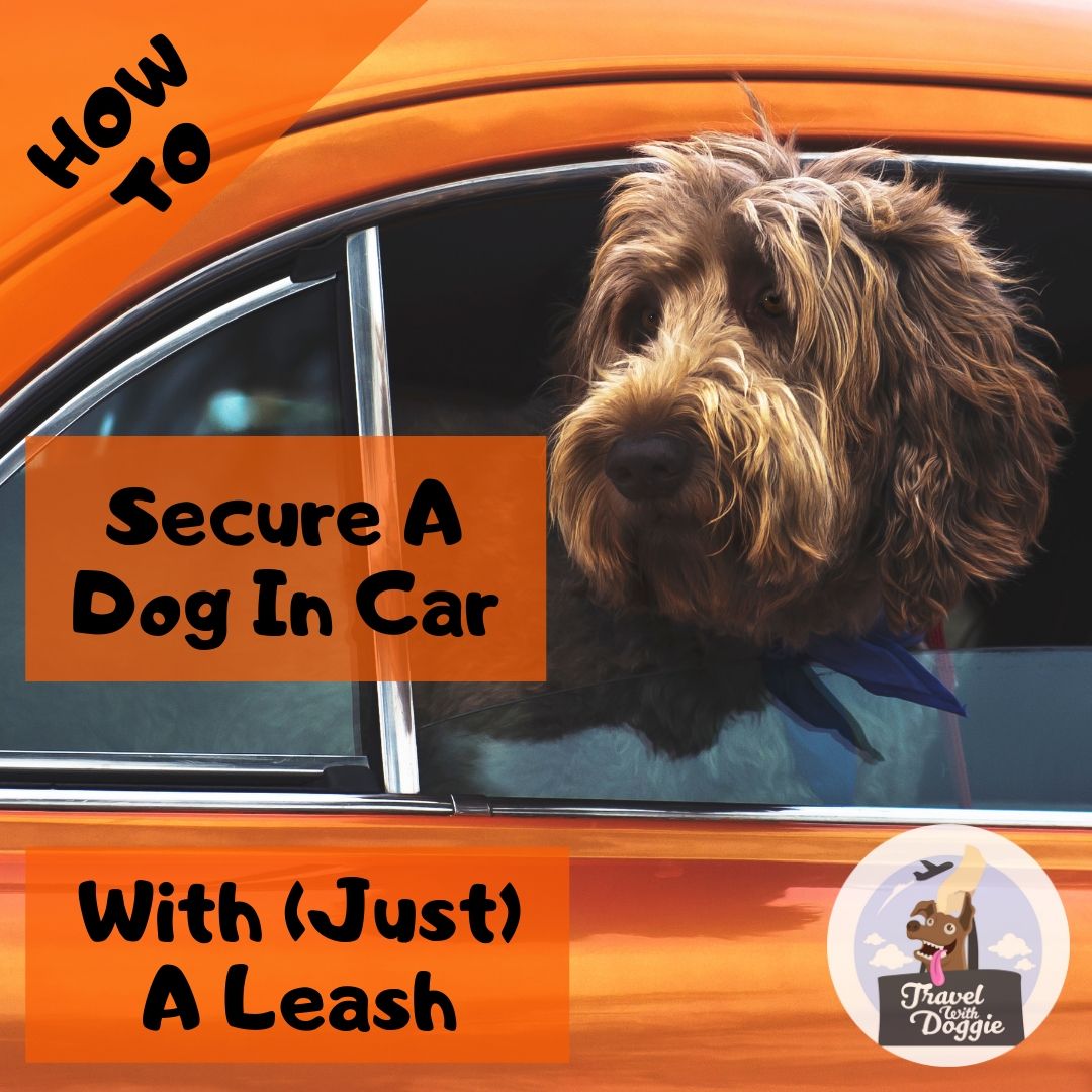 How To Secure Dog In Car With Leash | Travel With Doggie