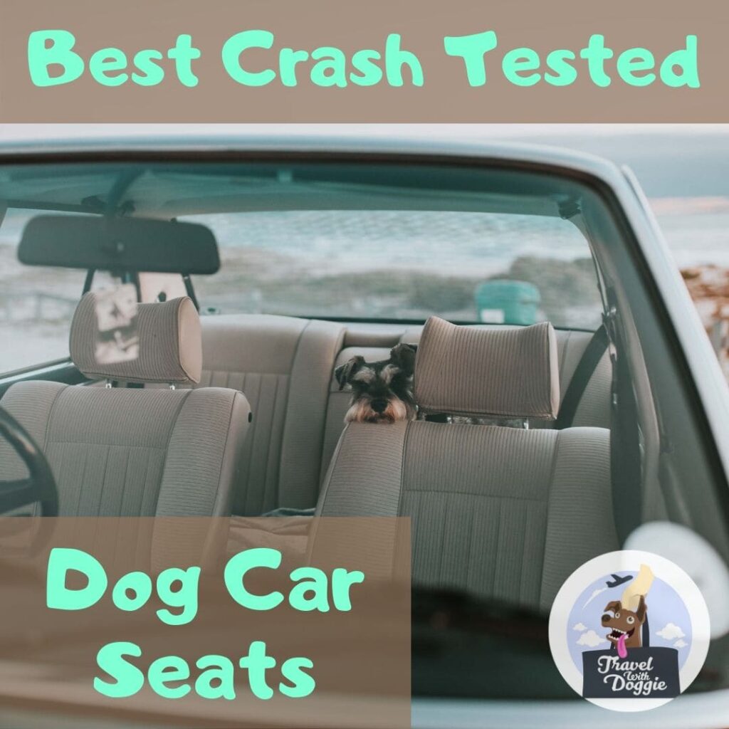 Best Crash Tested Dog Car Seats To That Can Save Your Dog Travel With