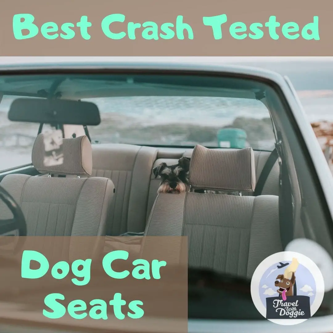 Best Crash Tested Dog Car Seats | Travel With Doggie