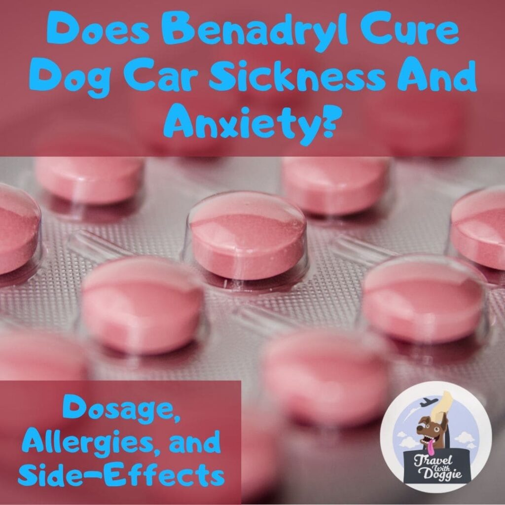 Picture of Does Benadryl Cure Dog Car Sickness and Anxiety? Dosage, Allergies and ...