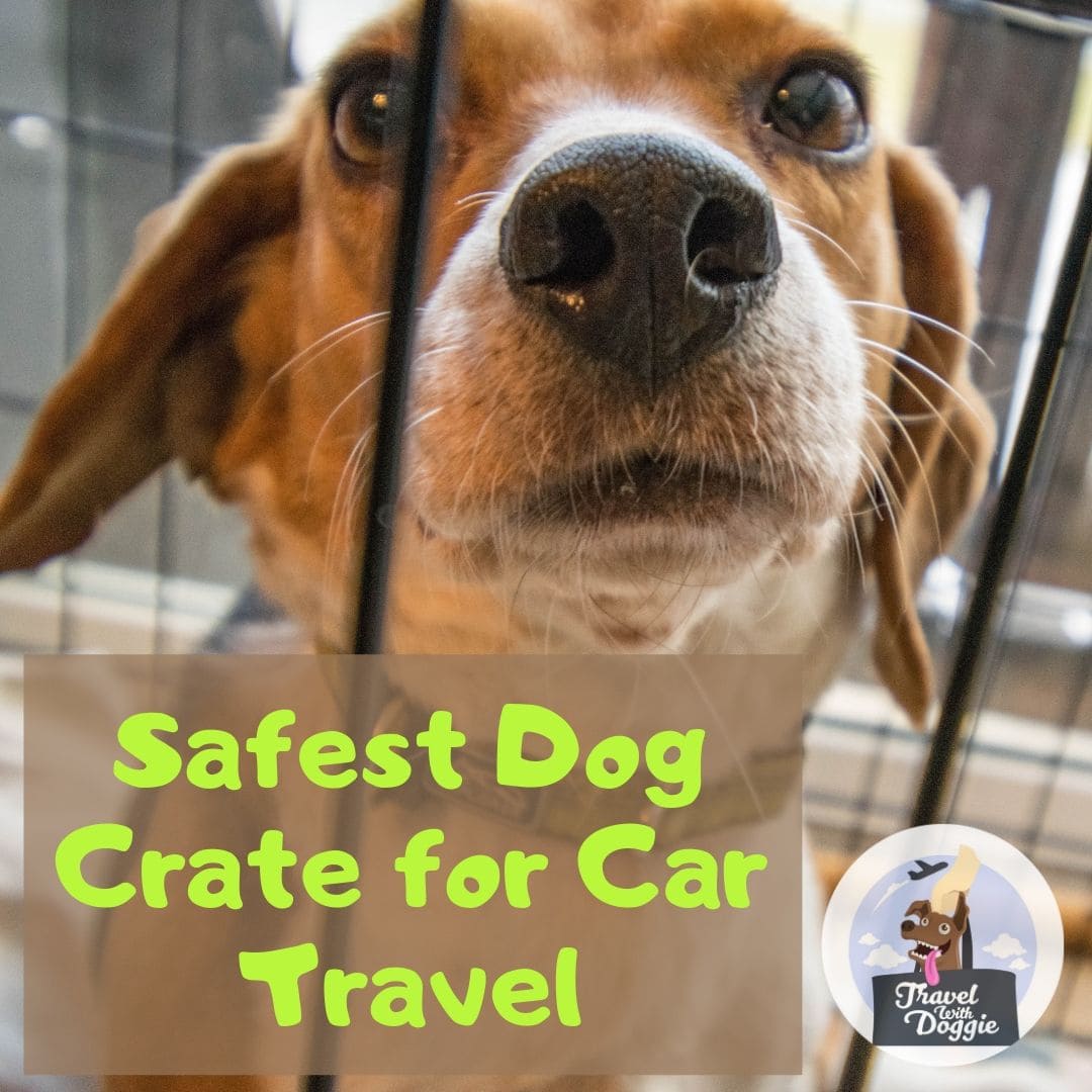 Best Crash Tested Dog Car Seats | Travel With Doggie