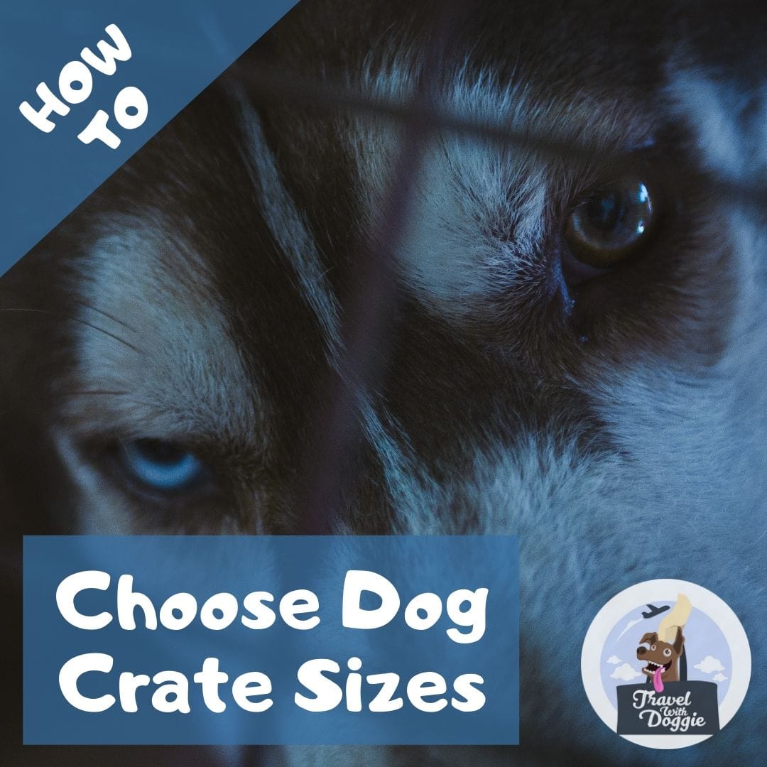 How to Choose Dog Crate Sizes | Travel With Doggie