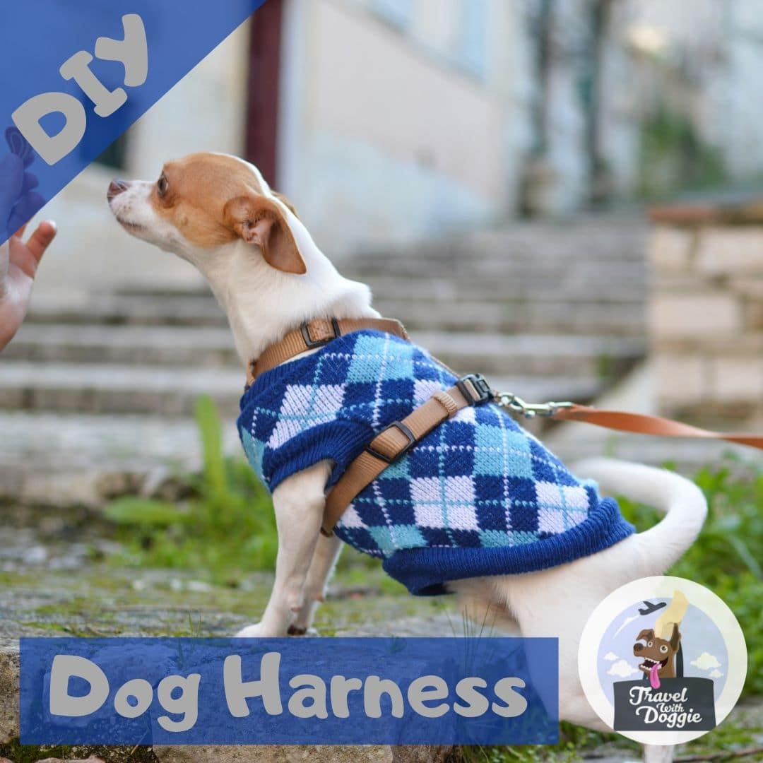 DIY Dog Harness | Travel With Doggie