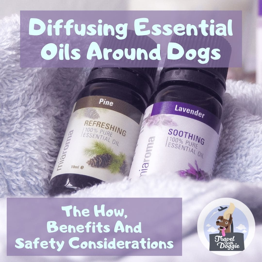 Diffusing Essential Oils Around Dogs | Travel With Doggie