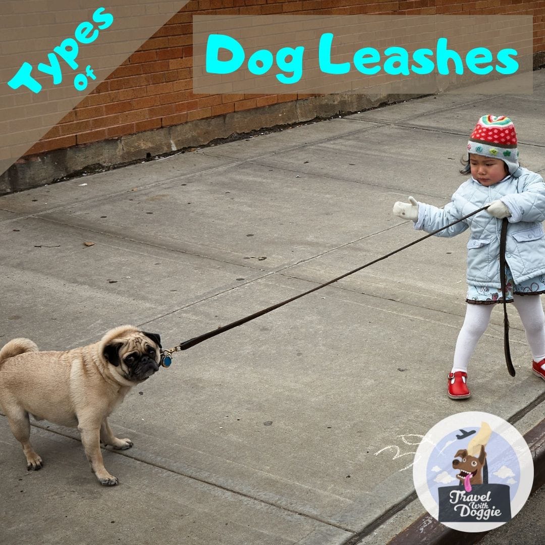 Types of Dog Leashes | Travel With Doggie