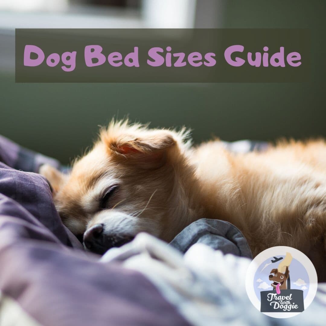 Dog Bed Sizes Guide | Travel With Doggie