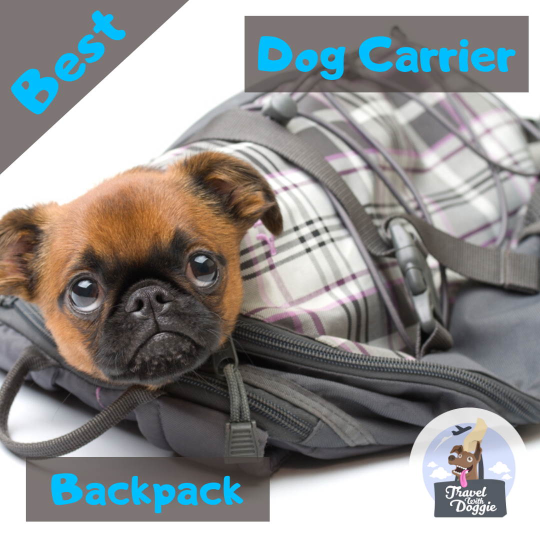 11 Best Dog Carrier Backpacks